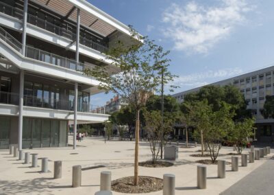 borne fixe de sécurité