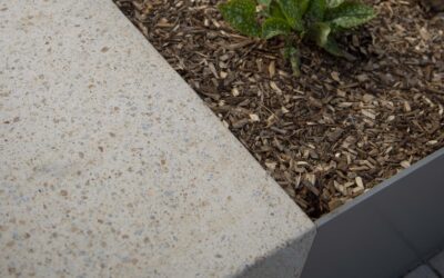 LA PRÉSERVATION DE L’ENVIRONNEMENT, UN ENJEU DURABLE